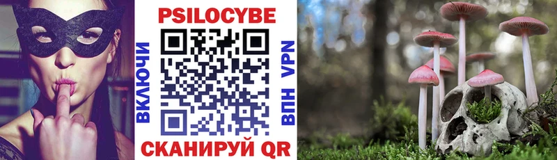 Купить закладки  Семикаракорск  Галлюциногенные грибы мухоморы 