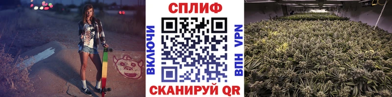 Марихуана план  Купить  Семикаракорск 